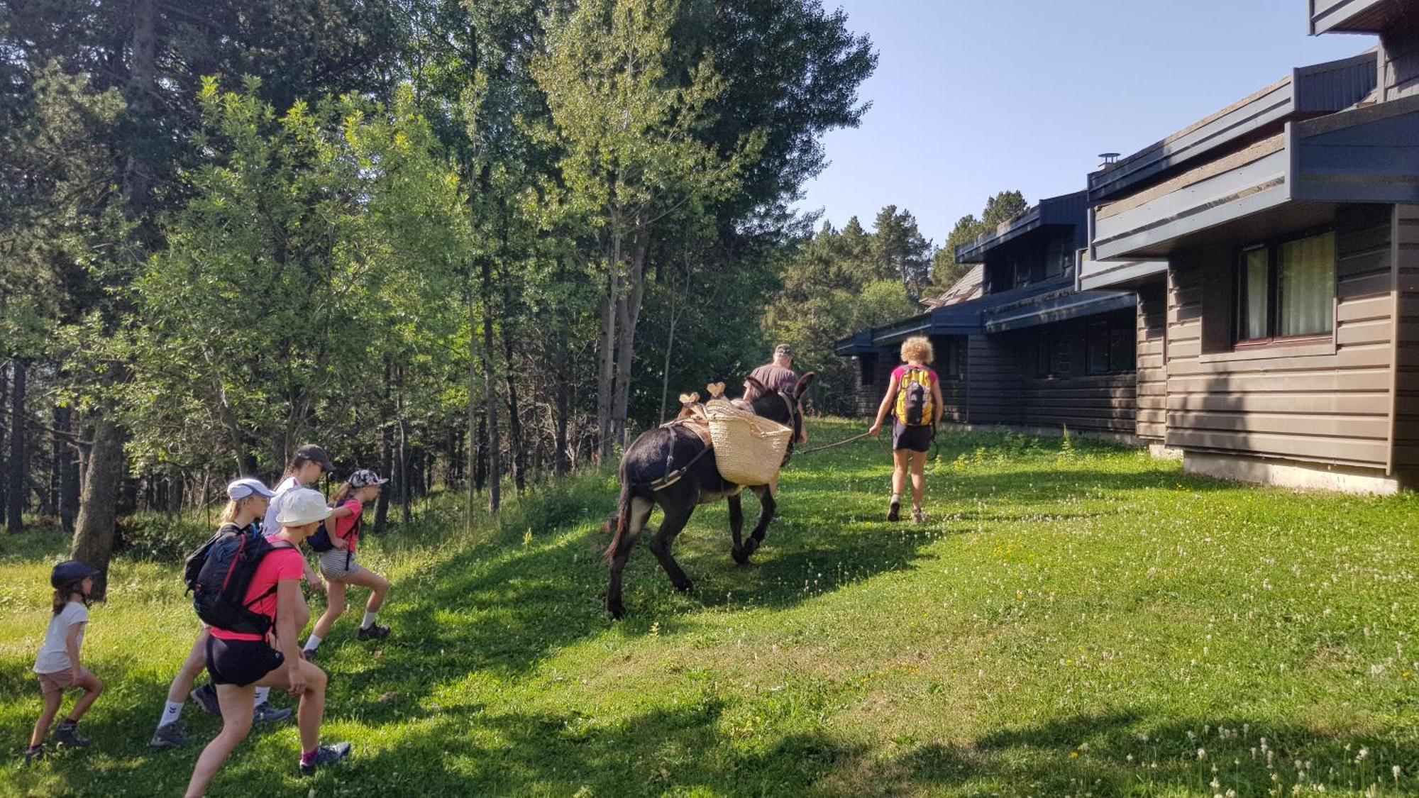 Le Chalet Du Ticou Bolquere Pyrenees 2000 Eksteriør billede
